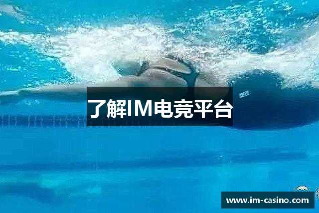 IM电竞·(中国)官方网站-IM ESPORTS